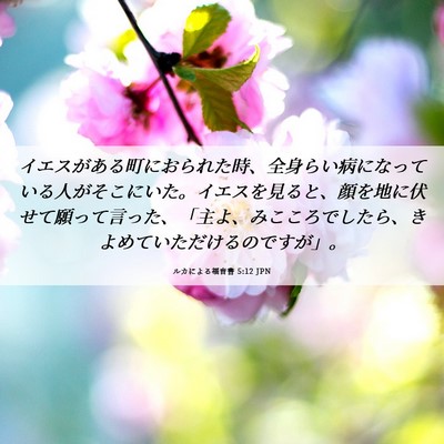Picture 06 - ルカによる福音書 5:12 JPN - イエスがある町におられた時、全身 - Bible Verse Picture