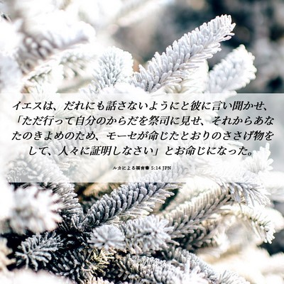 Picture 06 - ルカによる福音書 5:14 JPN - イエスは、だれにも話さないように - Bible Verse Picture