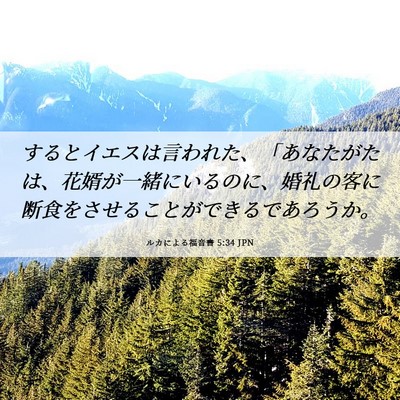 Picture 06 - ルカによる福音書 5:34 JPN - するとイエスは言われた、「あなた - Bible Verse Picture