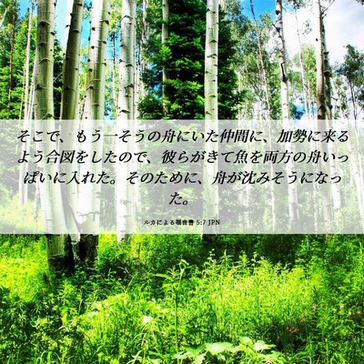 Picture 06 - ルカによる福音書 5:7 JPN - そこで、もう一そうの舟にいた仲間 - Bible Verse Picture