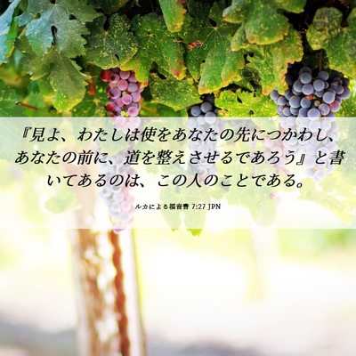 Picture 06 - ルカによる福音書 7:27 JPN - 『見よ、わたしは使をあなたの先に - Bible Verse Picture