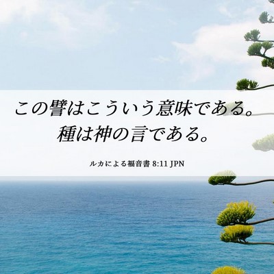 Picture 06 - ルカによる福音書 8:11 JPN - この譬はこういう意味である。種は - Bible Verse Picture