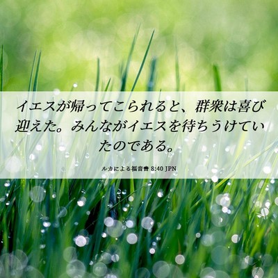 Picture 06 - ルカによる福音書 8:40 JPN - イエスが帰ってこられると、群衆は - Bible Verse Picture