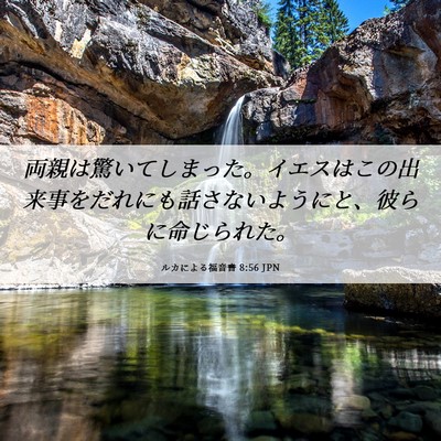 Picture 06 - ルカによる福音書 8:56 JPN - 両親は驚いてしまった。イエスはこ - Bible Verse Picture