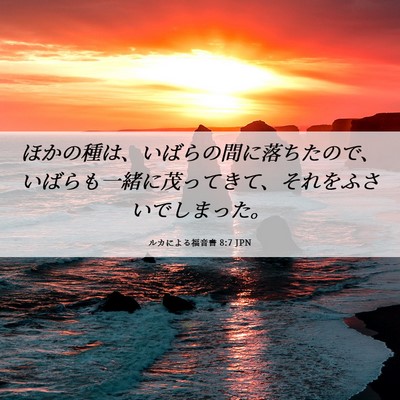Picture 06 - ルカによる福音書 8:7 JPN - ほかの種は、いばらの間に落ちたの - Bible Verse Picture