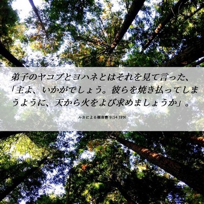 Picture 06 - ルカによる福音書 9:54 JPN - 弟子のヤコブとヨハネとはそれを見 - Bible Verse Picture