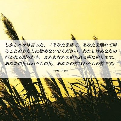 Picture 06 - ルツ記 1:16 JPN - しかしルツは言った、「あなたを捨 - Bible Verse Picture