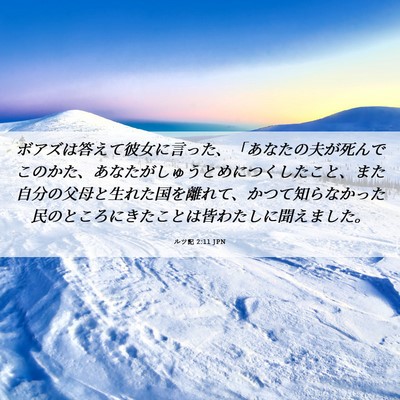 Picture 06 - ルツ記 2:11 JPN - ボアズは答えて彼女に言った、「あ - Bible Verse Picture