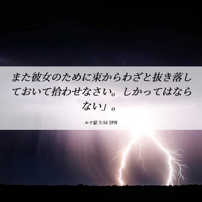 Picture 06 - ルツ記 2:16 JPN - また彼女のために束からわざと抜き - Bible Verse Picture