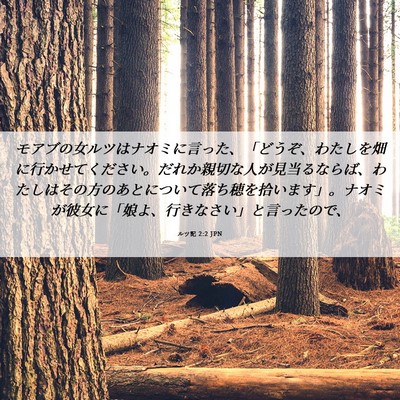 Picture 06 - ルツ記 2:2 JPN - モアブの女ルツはナオミに言った、 - Bible Verse Picture