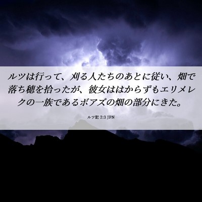 Picture 06 - ルツ記 2:3 JPN - ルツは行って、刈る人たちのあとに - Bible Verse Picture