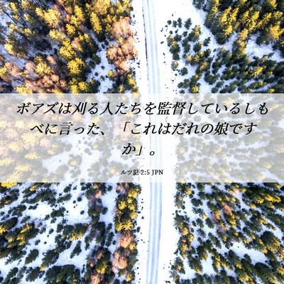 Picture 06 - ルツ記 2:5 JPN - ボアズは刈る人たちを監督している - Bible Verse Picture