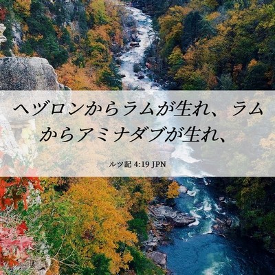 Picture 06 - ルツ記 4:19 JPN - ヘヅロンからラムが生れ、ラムから - Bible Verse Picture