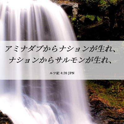 Picture 06 - ルツ記 4:20 JPN - アミナダブからナションが生れ、ナ - Bible Verse Picture