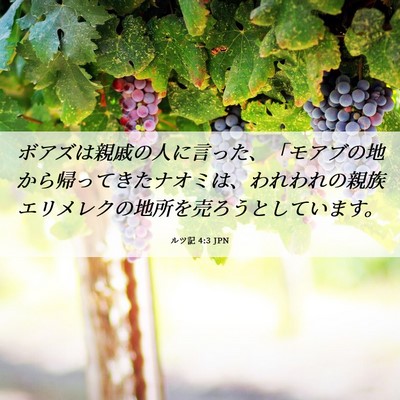 Picture 06 - ルツ記 4:3 JPN - ボアズは親戚の人に言った、「モア - Bible Verse Picture