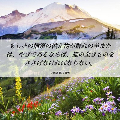 Picture 06 - レビ記 1:10 JPN - もしその燔祭の供え物が群れの羊ま - Bible Verse Picture