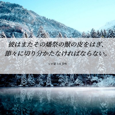 Picture 06 - レビ記 1:6 JPN - 彼はまたその燔祭の獣の皮をはぎ、 - Bible Verse Picture