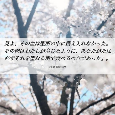 Picture 06 - レビ記 10:18 JPN - 見よ、その血は聖所の中に携え入れ - Bible Verse Picture