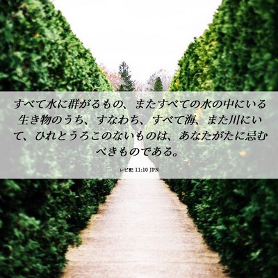 Picture 06 - レビ記 11:10 JPN - すべて水に群がるもの、またすべて - Bible Verse Picture