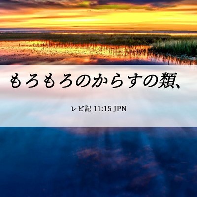 Picture 06 - レビ記 11:15 JPN - もろもろのからすの類、 - Bible Verse Picture