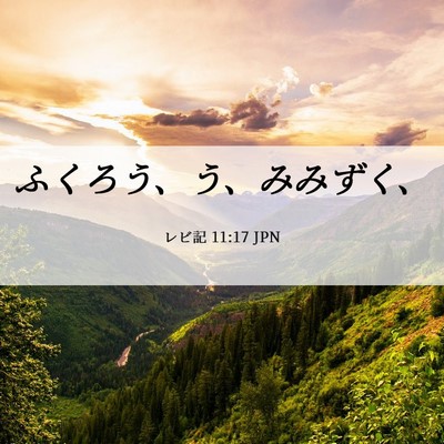 Picture 06 - レビ記 11:17 JPN - ふくろう、う、みみずく、 - Bible Verse Picture