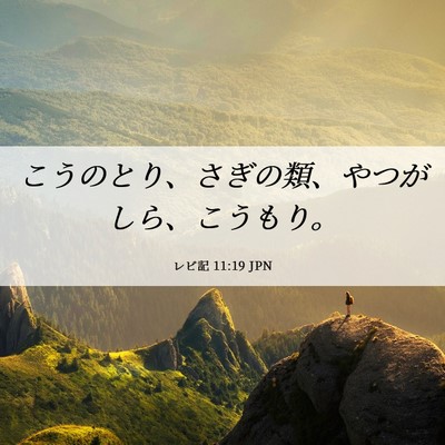 Picture 06 - レビ記 11:19 JPN - こうのとり、さぎの類、やつがしら - Bible Verse Picture