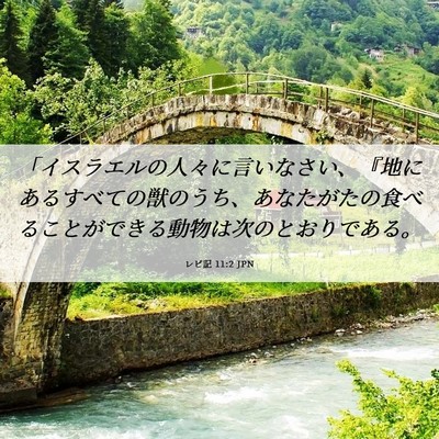 Picture 06 - レビ記 11:2 JPN - 「イスラエルの人々に言いなさい、 - Bible Verse Picture