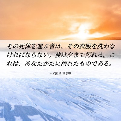 Picture 06 - レビ記 11:28 JPN - その死体を運ぶ者は、その衣服を洗 - Bible Verse Picture