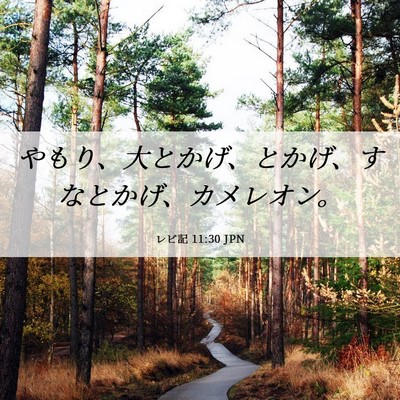 Picture 06 - レビ記 11:30 JPN - やもり、大とかげ、とかげ、すなと - Bible Verse Picture