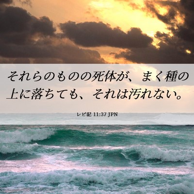Picture 06 - レビ記 11:37 JPN - それらのものの死体が、まく種の上 - Bible Verse Picture
