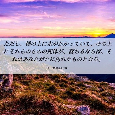 Picture 06 - レビ記 11:38 JPN - ただし、種の上に水がかかっていて - Bible Verse Picture