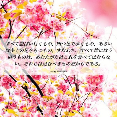 Picture 06 - レビ記 11:42 JPN - すべて腹ばい行くもの、四つ足で歩 - Bible Verse Picture