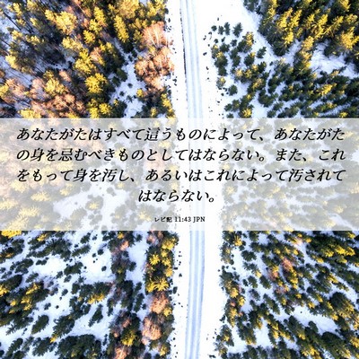 Picture 06 - レビ記 11:43 JPN - あなたがたはすべて這うものによっ - Bible Verse Picture