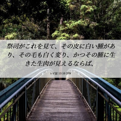 Picture 06 - レビ記 13:10 JPN - 祭司がこれを見て、その皮に白い腫 - Bible Verse Picture