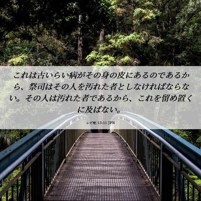 Picture 06 - レビ記 13:11 JPN - これは古いらい病がその身の皮にあ - Bible Verse Picture