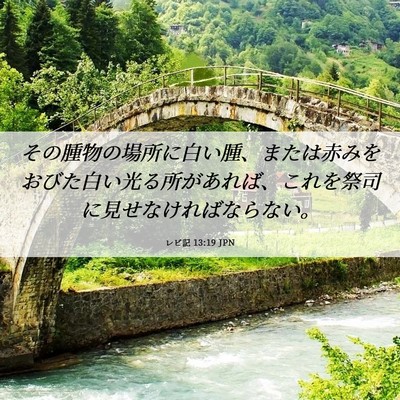 Picture 06 - レビ記 13:19 JPN - その腫物の場所に白い腫、または赤 - Bible Verse Picture