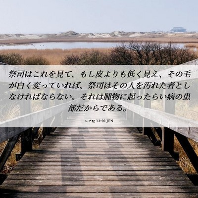 Picture 06 - レビ記 13:20 JPN - 祭司はこれを見て、もし皮よりも低 - Bible Verse Picture