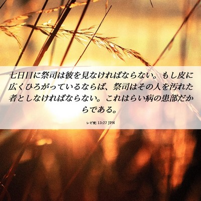 Picture 06 - レビ記 13:27 JPN - 七日目に祭司は彼を見なければなら - Bible Verse Picture