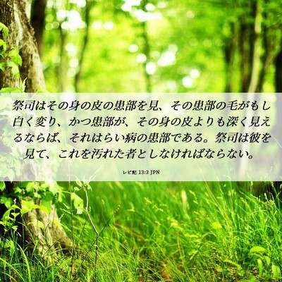 Picture 06 - レビ記 13:3 JPN - 祭司はその身の皮の患部を見、その - Bible Verse Picture