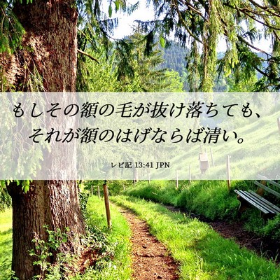Picture 06 - レビ記 13:41 JPN - もしその額の毛が抜け落ちても、そ - Bible Verse Picture