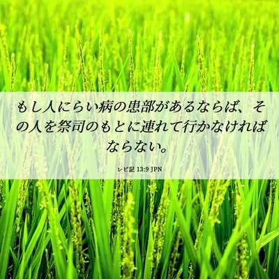 Picture 06 - レビ記 13:9 JPN - もし人にらい病の患部があるならば - Bible Verse Picture