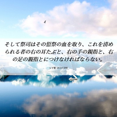 Picture 06 - レビ記 14:14 JPN - そして祭司はその愆祭の血を取り、 - Bible Verse Picture