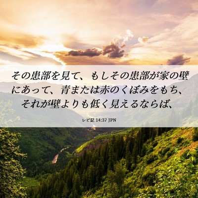 Picture 06 - レビ記 14:37 JPN - その患部を見て、もしその患部が家 - Bible Verse Picture