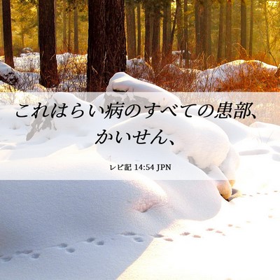 Picture 06 - レビ記 14:54 JPN - これはらい病のすべての患部、かい - Bible Verse Picture