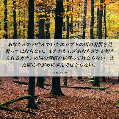 Picture 06 - レビ記 18:3 JPN - あなたがたの住んでいたエジプトの - Bible Verse Picture