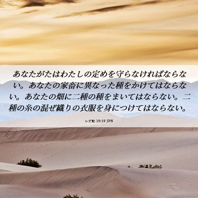 Picture 06 - レビ記 19:19 JPN - あなたがたはわたしの定めを守らな - Bible Verse Picture