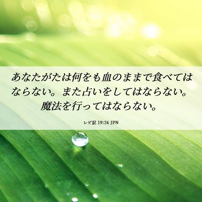 Picture 06 - レビ記 19:26 JPN - あなたがたは何をも血のままで食べ - Bible Verse Picture