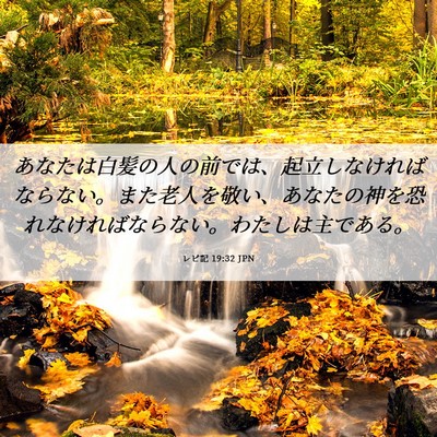Picture 06 - レビ記 19:32 JPN - あなたは白髪の人の前では、起立し - Bible Verse Picture