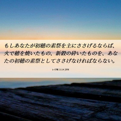 Picture 06 - レビ記 2:14 JPN - もしあなたが初穂の素祭を主にささ - Bible Verse Picture