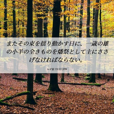 Picture 06 - レビ記 23:12 JPN - またその束を揺り動かす日に、一歳 - Bible Verse Picture